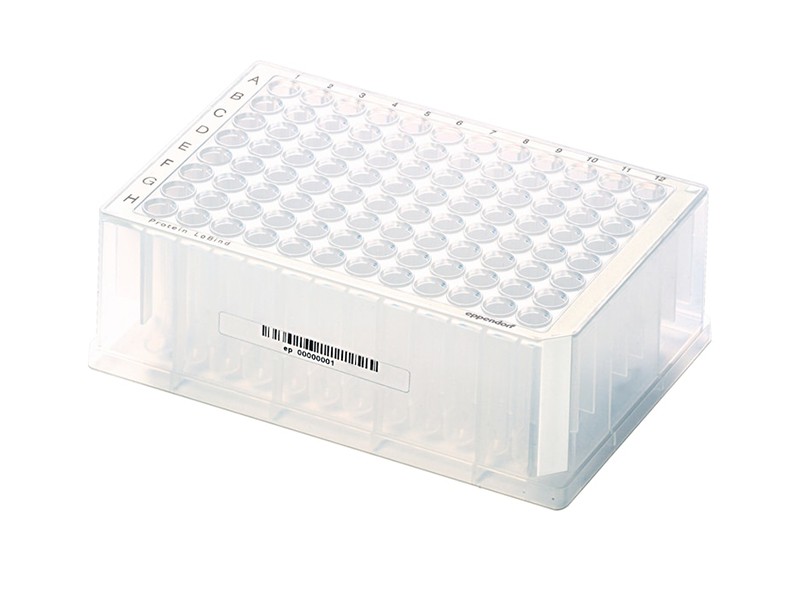 Eppendorf Protein LoBind® Plakalar 2